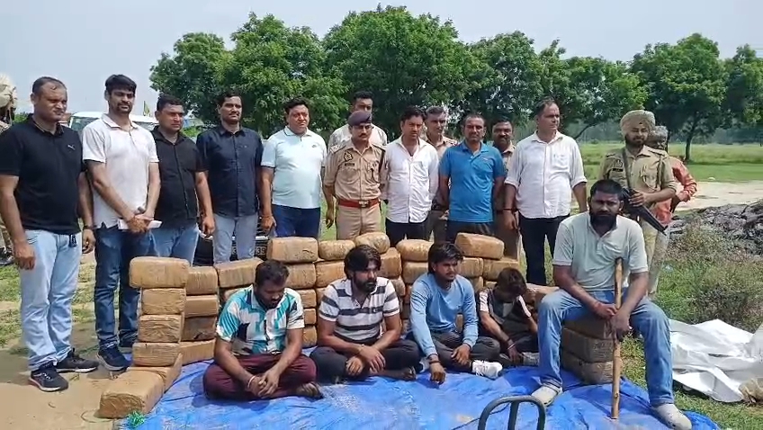 सवा करोड़ के गांजे पर एएनटीएफ का शिकंजा, खाद की आड़ में हो रही थी तस्करी